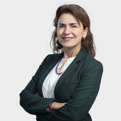 Fotografía de Ps. Paula Estrada, profesional de CEAPSI.